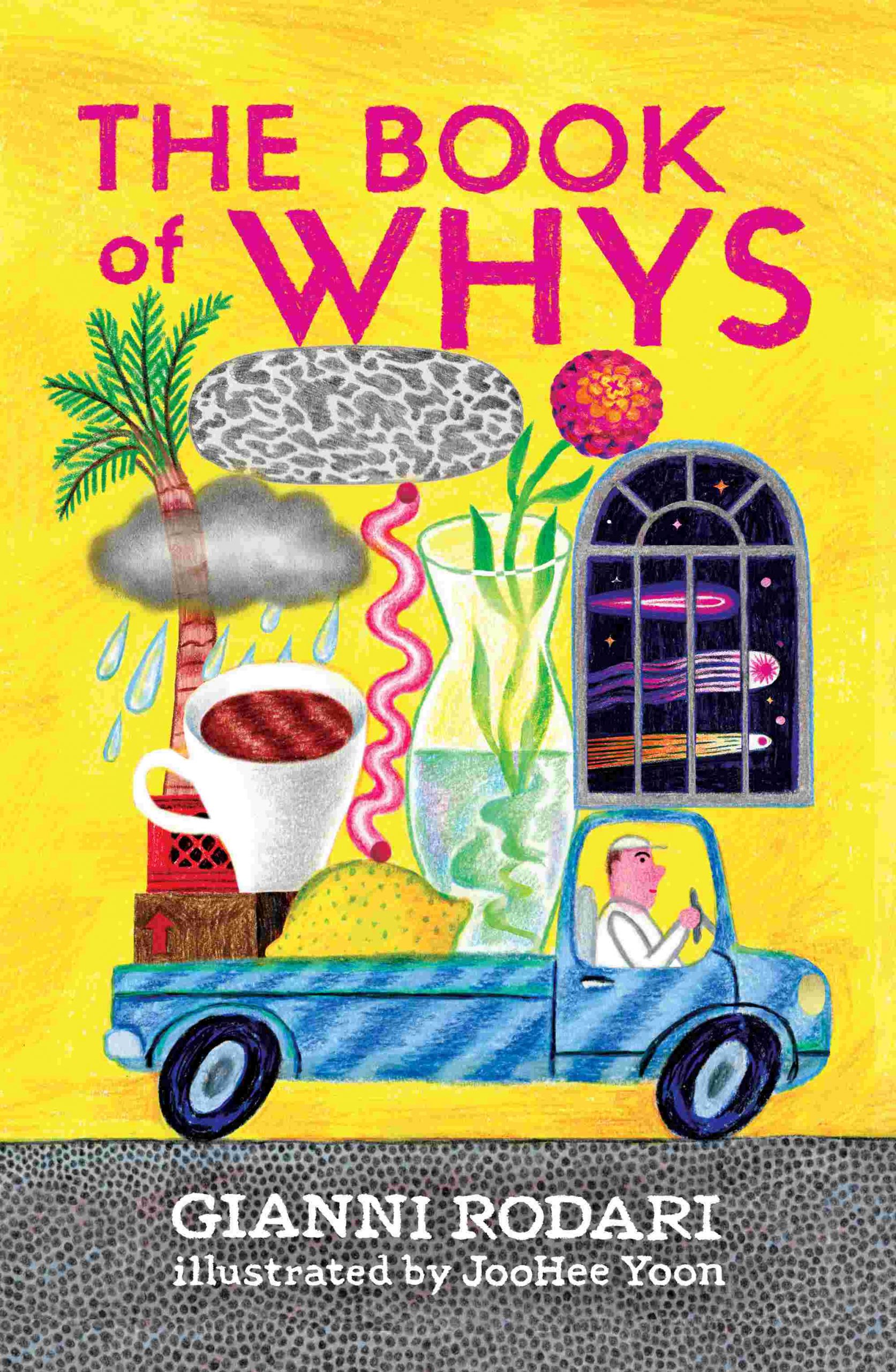 the book of whys enchanted lion cover